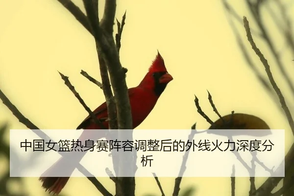 中国女篮热身赛阵容调整后的外线火力深度分析